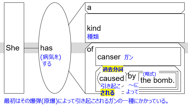 ss diagram with JP "She has a kind of cancer caused by the bomb."